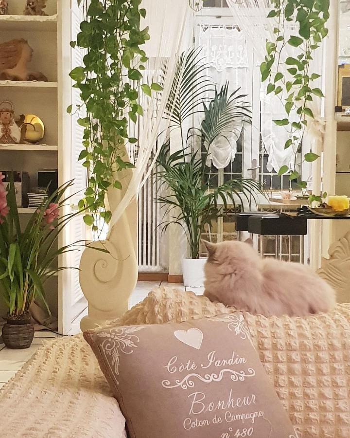 Stella Del Mar Bed & Breakfast Bologna Ngoại thất bức ảnh